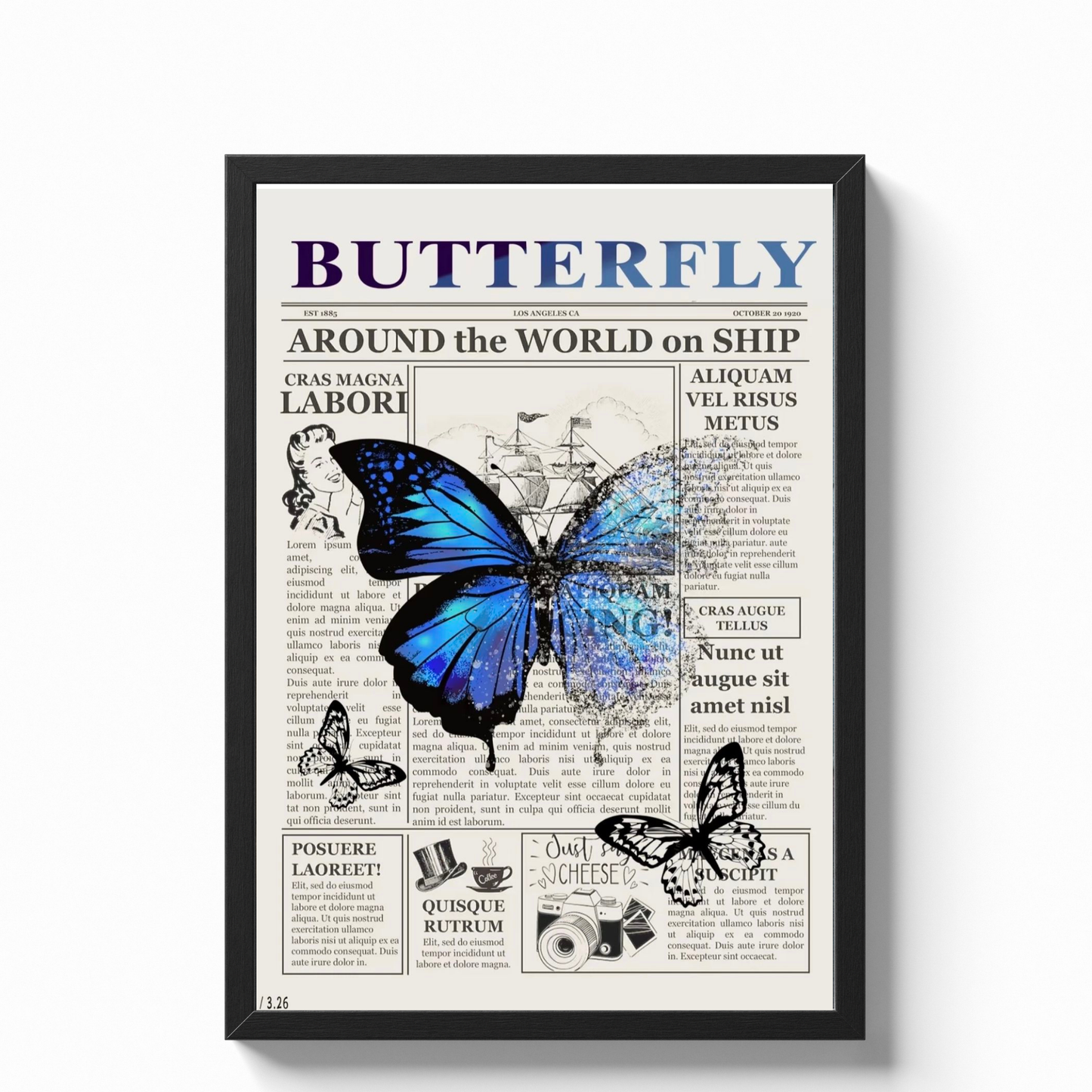 Aesthetic Poster BUTTERFLY
