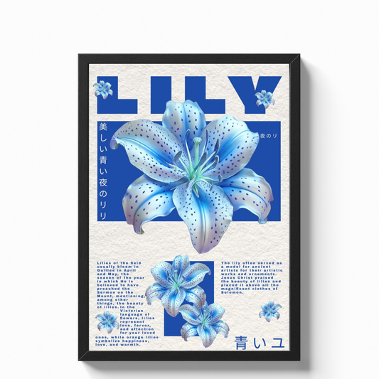 Aesthetic Poster