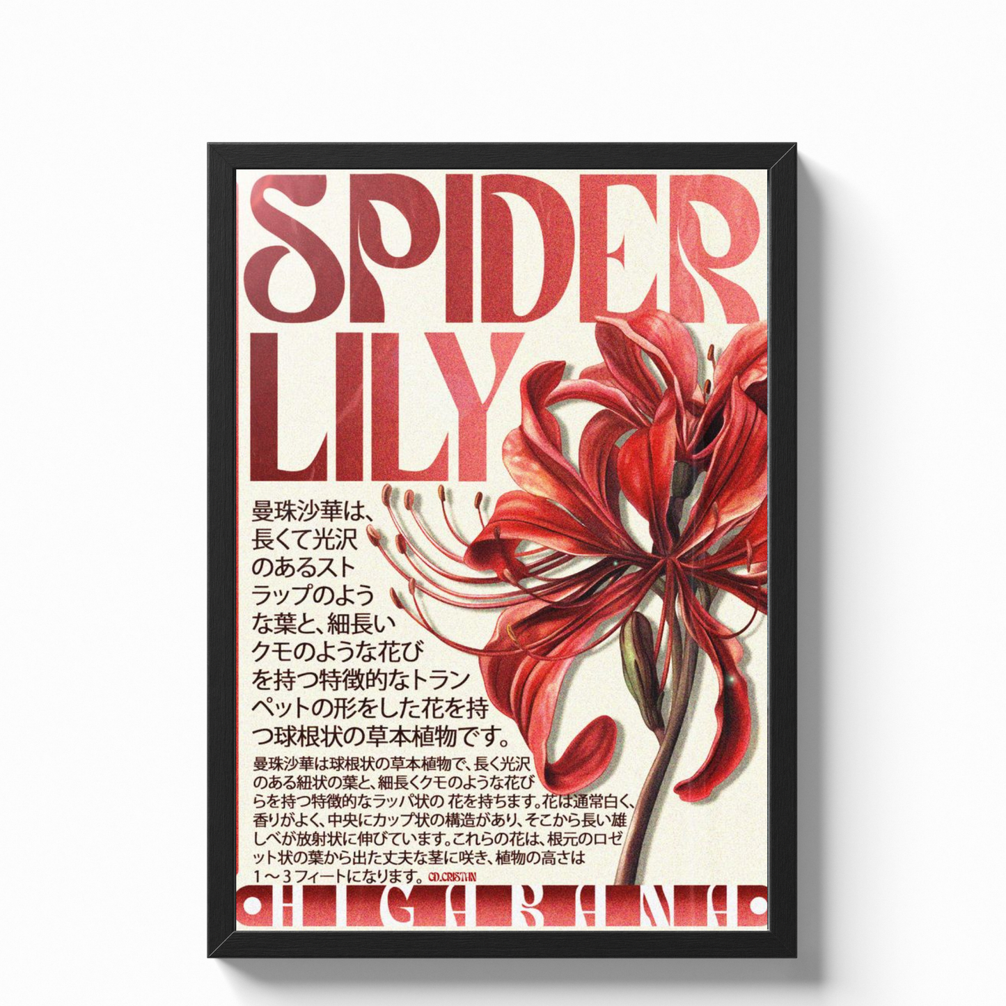 Aesthetic Poster