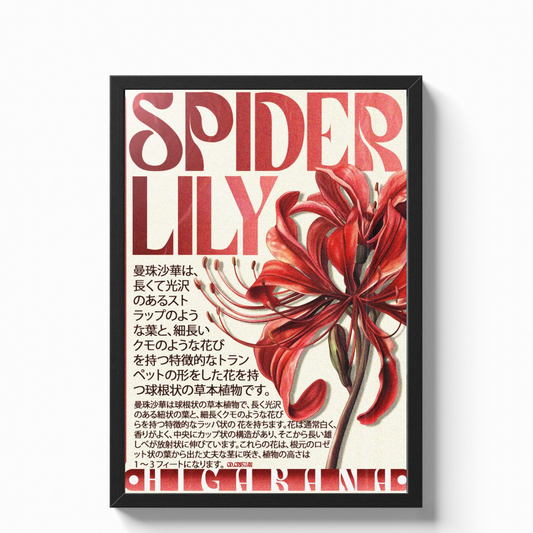 Aesthetic Poster